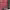 https://res.cloudinary.com/billionhands/image/upload/v1777739943/items/pjbqsyerxixwusw8okdb.jpg-3cover