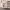 https://res.cloudinary.com/billionhands/image/upload/v1777743224/items/u3ohfifn9vwejdh0wuf4.webp-1cover