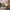 https://res.cloudinary.com/billionhands/image/upload/v1777743226/items/jfkydrosplsvunx8owcv.avif-1cover