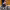 https://res.cloudinary.com/billionhands/image/upload/v1777744129/items/uakvxpqdu4micniurkhb.webp-3cover