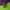 https://res.cloudinary.com/billionhands/image/upload/v1777747628/items/kri6q2tyaergo9l39pif.jpg-0cover