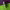 https://res.cloudinary.com/billionhands/image/upload/v1777747634/items/xo1wl0orcnd2bbqqzzsk.jpg-3cover