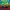 https://res.cloudinary.com/billionhands/image/upload/v1777749372/items/zoyyg6thhujmd3y4wg0d.webp-1cover