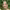 https://res.cloudinary.com/billionhands/image/upload/v1777752232/items/hgv21zqz1njf5mts2to4.webp-2cover