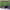 https://res.cloudinary.com/billionhands/image/upload/v1777752536/items/bj66yw7p8hmfun1zt0yl.webp-2cover