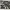 https://res.cloudinary.com/billionhands/image/upload/v1777756767/items/g5g0qegotiiiphrs9je7.jpg-2cover