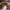 https://res.cloudinary.com/billionhands/image/upload/v1777756824/items/jqi074vlhajo7bh0ziqj.jpg-2cover