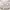 https://res.cloudinary.com/billionhands/image/upload/v1777758200/items/glcj7crjurhmpggceba1.webp-0cover