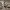 https://res.cloudinary.com/billionhands/image/upload/v1777758210/items/ubd4xmtzsw2tzp0wjjlw.jpg-3cover