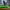 https://res.cloudinary.com/billionhands/image/upload/v1777759683/items/pr071ztpqcsbveghr0dd.jpg-1cover