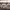 https://res.cloudinary.com/billionhands/image/upload/v1777764253/items/nouz0mwsyghdnqya0uhh.jpg-2cover