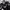 https://res.cloudinary.com/billionhands/image/upload/v1777764724/items/gm5vpqiedrlfz4apmfl1.jpg-3cover