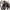 https://res.cloudinary.com/billionhands/image/upload/v1777765779/items/ktbytwn43nlqbrmjvabc.webp-2cover