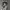 https://res.cloudinary.com/billionhands/image/upload/v1777765942/items/xrqmulwbmstywo5numnw.jpg-1cover