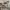 https://res.cloudinary.com/billionhands/image/upload/v1777766485/items/qprnrvnhf3bmbh2bsgfb.webp-1cover