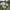 https://res.cloudinary.com/billionhands/image/upload/v1777767106/items/wgfjbdymzk3ysufqj2ms.webp-3cover
