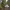 https://res.cloudinary.com/billionhands/image/upload/v1777767109/items/jcz7vkdge2fqinmn3s9o.jpg-3cover