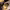 https://res.cloudinary.com/billionhands/image/upload/v1777767491/items/uoksximmkkaclvwtdwnj.jpg-2cover