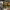 https://res.cloudinary.com/billionhands/image/upload/v1777767496/items/hjekdvgzqmlvcm0ofw81.jpg-2cover