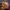 https://res.cloudinary.com/billionhands/image/upload/v1777767535/items/iv0y9nnlyc5ehsnokize.jpg-2cover
