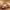 https://res.cloudinary.com/billionhands/image/upload/v1777767897/items/qcfcifsqueek1gmnmabw.jpg-1cover