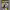 https://res.cloudinary.com/billionhands/image/upload/v1777768131/items/i6ynmg1qml9bhpspdsrt.jpg-1cover