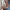 https://res.cloudinary.com/billionhands/image/upload/v1777770620/items/b1qhc6sw1wtnz5kybslc.png-3cover