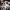 https://res.cloudinary.com/billionhands/image/upload/v1777776798/items/wdncnxpzsvw9toit1yvl.webp-2cover