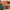 https://res.cloudinary.com/billionhands/image/upload/v1777777072/items/uhwmwgbslrvvayimfdf8.jpg-1cover