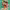 https://res.cloudinary.com/billionhands/image/upload/v1777777074/items/eqlqidwnbjjncghatk5x.jpg-0cover