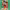 https://res.cloudinary.com/billionhands/image/upload/v1777777075/items/cfmvjge8anqnadogjjpl.jpg-1cover