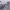 https://res.cloudinary.com/billionhands/image/upload/v1777777664/items/pxzbkmmogzusk3kpna7x.png-1cover