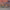 https://res.cloudinary.com/billionhands/image/upload/v1777777665/items/b4ldxcq5dtkh9szpoxy6.jpg-2cover
