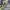 https://res.cloudinary.com/billionhands/image/upload/v1777777670/items/eer4wxf16gqwqlyuoodr.webp-2cover