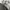 https://res.cloudinary.com/billionhands/image/upload/v1777777671/items/dpcfhlu3jwwl2kvypzpn.jpg-2cover