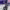 Laurence Fournier Beaudry / Guillaume Cizeron (FRA) - Free Dance (2026) cover