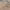 https://res.cloudinary.com/billionhands/image/upload/v1777778666/items/eh2rpvnhsc9gkykjl15g.webp-1cover