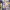 The Demon Prince of Momochi House (2024) cover