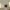https://res.cloudinary.com/billionhands/image/upload/v1777789500/items/fqqlocluvsfrvbnrspqd.jpg-3cover