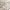 https://res.cloudinary.com/billionhands/image/upload/v1777789503/items/hd3meu5frrqgfn4lkdvn.jpg-2cover