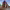 https://res.cloudinary.com/billionhands/image/upload/v1777789507/items/jhwbpk2ehlhl1lzmtks8.jpg-0cover