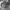https://res.cloudinary.com/billionhands/image/upload/v1777790570/items/ip7qdg2sode1riq3gjdg.jpg-3cover