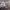 https://res.cloudinary.com/billionhands/image/upload/v1777790612/items/cqtteceszhcxvcsmuobh.jpg-2cover