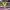 https://res.cloudinary.com/billionhands/image/upload/v1777791988/items/gp9a3cux6gt5rqjsbulh.webp-0cover