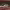 https://res.cloudinary.com/billionhands/image/upload/v1777792423/items/xjrkxdiojselbvqyfxql.webp-2cover