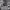 https://res.cloudinary.com/billionhands/image/upload/v1777792866/items/rdvnaa6gdtyhmm9yt451.webp-0cover