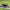 https://res.cloudinary.com/billionhands/image/upload/v1777792868/items/swworek2hnnf9lty6kf4.webp-0cover