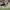 https://res.cloudinary.com/billionhands/image/upload/v1777792873/items/tltwp9biv9czgt7ujqix.webp-2cover