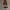 https://res.cloudinary.com/billionhands/image/upload/v1777796522/items/q8gdyxpay20kyxsjmmlg.jpg-0cover