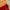 https://res.cloudinary.com/billionhands/image/upload/v1777798313/items/u2mxkpfv9ihtw83s1ek0.jpg-3cover